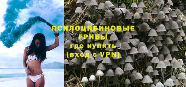 mdpv Кинешма