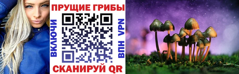 Псилоцибиновые грибы MAGIC MUSHROOMS  Купить закладки  Кущёвская 
